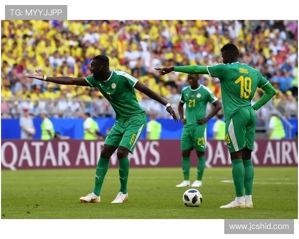 美洲杯巴西表现 美洲杯巴西表现