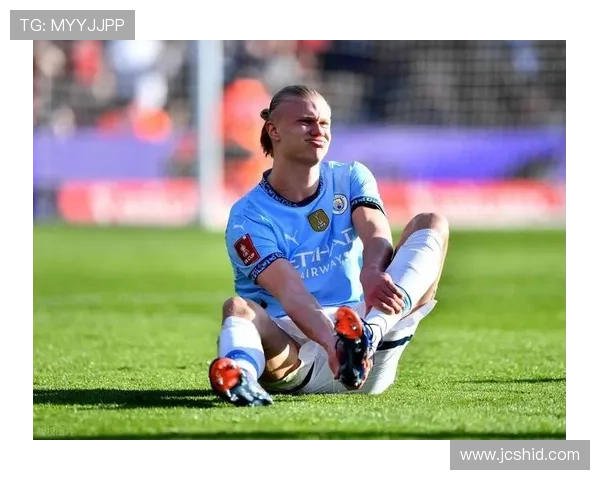 哈兰德哈兰德零射正