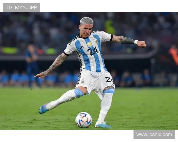 恩佐·费尔南德斯：世界杯冠军成员身份解析